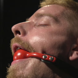 Uncut Stud Edged Beyond His Limit in Stocks
