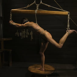 Fuck toy Casey Everett gets used by beefcake Colby Jansen