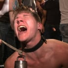 Dakota Wolfe in 'Bound whore gang fucked like an animal in a packed bar'