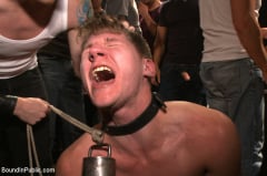 Dakota Wolfe - Bound whore gang fucked like an animal in a packed bar | Picture (2)