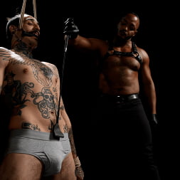 Convulsing Paingasms: Dillon Diaz and Yinne DeDom