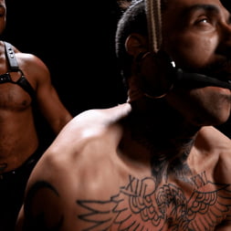 Convulsing Paingasms: Dillon Diaz and Yinne DeDom