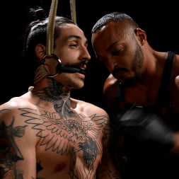 Convulsing Paingasms: Dillon Diaz and Yinne DeDom