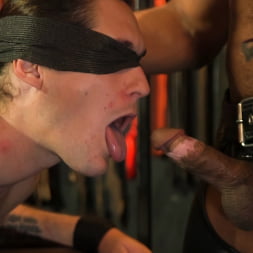 Harder, Sir: Part Two