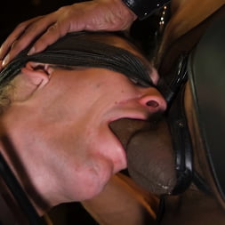 Harder, Sir: Part Two