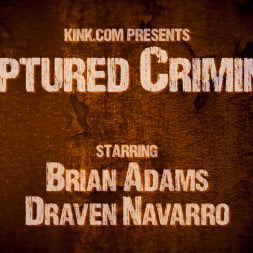 Captured Criminal: Hard Working Stud Gags and Punishes Wanted Thief
