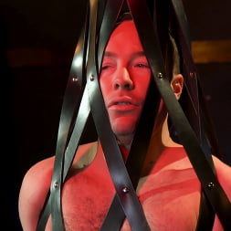 The Bottom Bitch: Draven Navarro Pulls Rank on Alex Hawk RAW