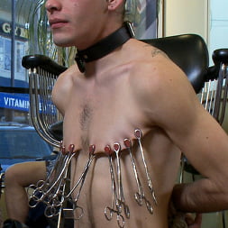 Shaved and fucked in a busy barbershop