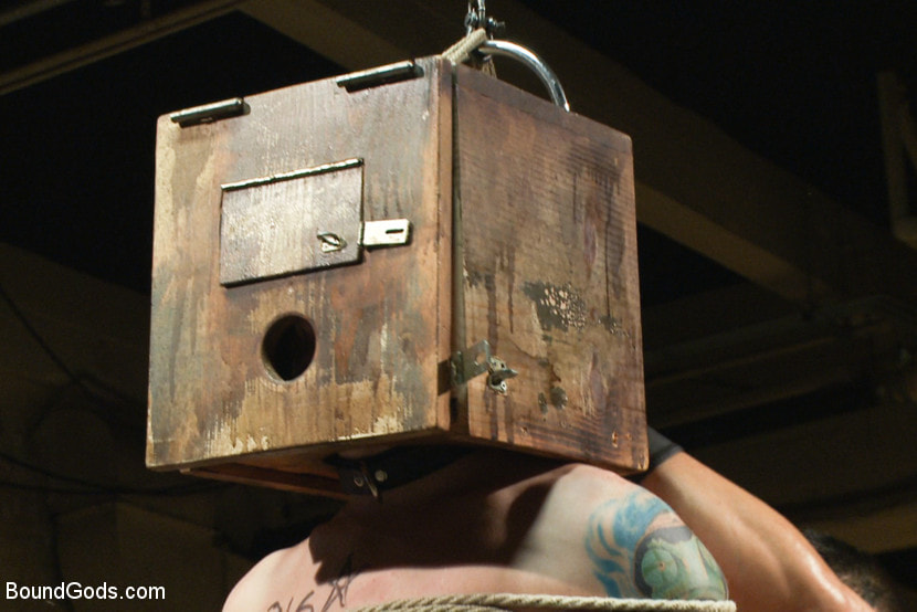 Slave Auction - Live Shoot