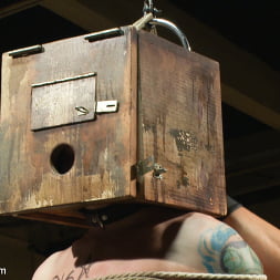 Slave Auction - Live Shoot