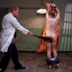 The Butcher and The Paperboy