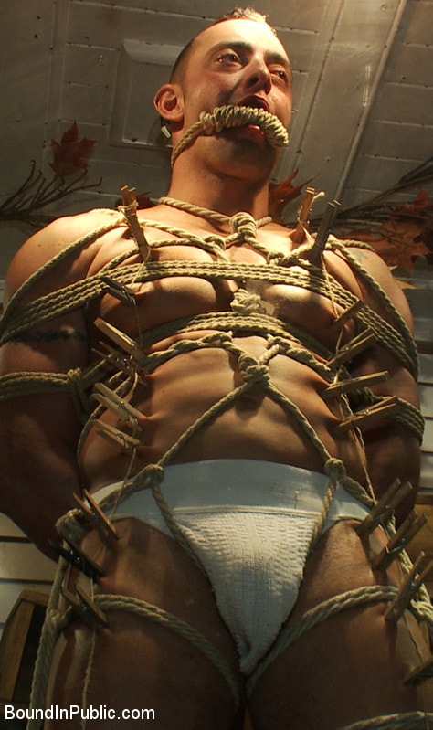 Ripped Muscle, Fat Cock, Round Ass, Humiliated in Public