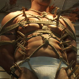 Ripped Muscle, Fat Cock, Round Ass, Humiliated in Public