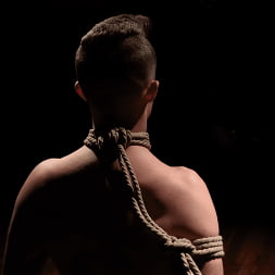 NEW SLAVE, NEW HOUSE, NEW EVERYTHING