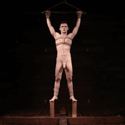 NEW SLAVE, NEW HOUSE, NEW EVERYTHING