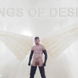 Wings of Desire - A Bound Gods Feature Presentation