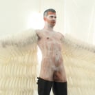 Hayden Richards in 'Wings of Desire - A Bound Gods Feature Presentation'