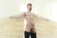 Hayden Richards - Wings of Desire - A Bound Gods Feature Presentation | Picture (8)