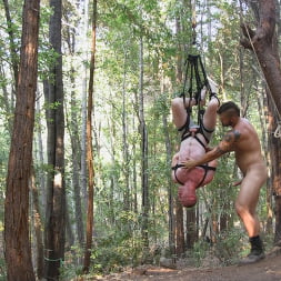 Deep Woods Domination: Chapter 3
