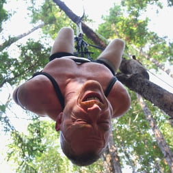 Deep Woods Domination: Chapter 3