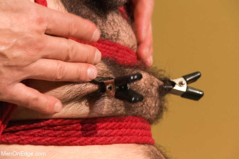 Hot Hairy Stud Tied up and Edged for first time