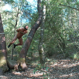 Bound Gods Dom Josh West Gets Edged Deep in the Woods