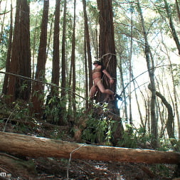 Bound Gods Dom Josh West Gets Edged Deep in the Woods