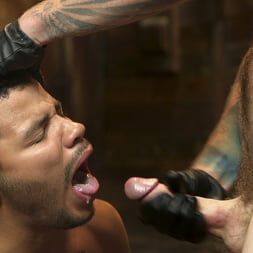 Straight Boy Begs for Hard Torment