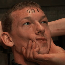 Please Let Me Take His Pain, Sir