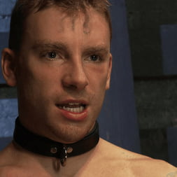Please Let Me Take His Pain, Sir