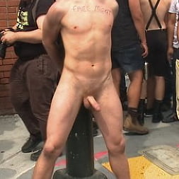 Stud in a metal cage is fucked by horny bar patrons