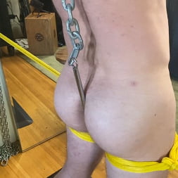 Milking Mike Gaite
