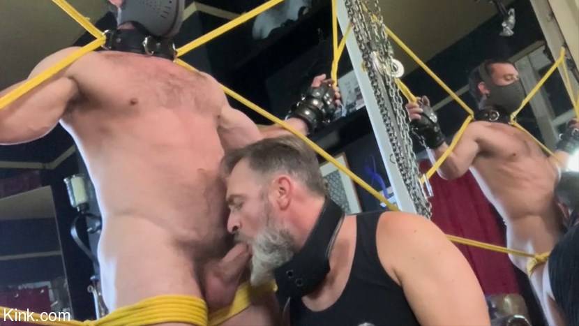 Milking Mike Gaite