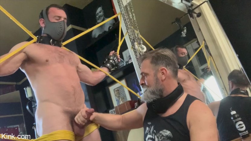Milking Mike Gaite