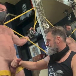 Milking Mike Gaite