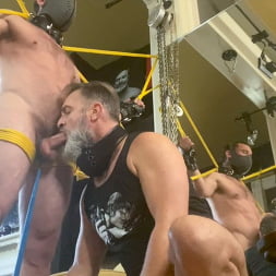 Milking Mike Gaite