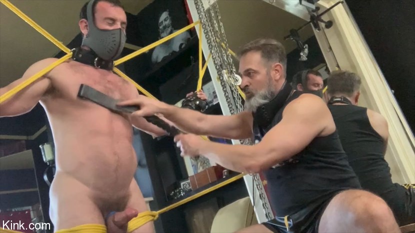 Milking Mike Gaite
