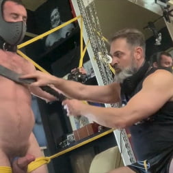 Milking Mike Gaite