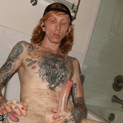 Ginger Cock