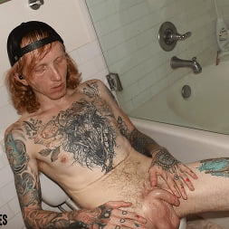 Ginger Cock