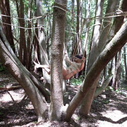 Captured straight jock gets his tight ass violated in the deep woods
