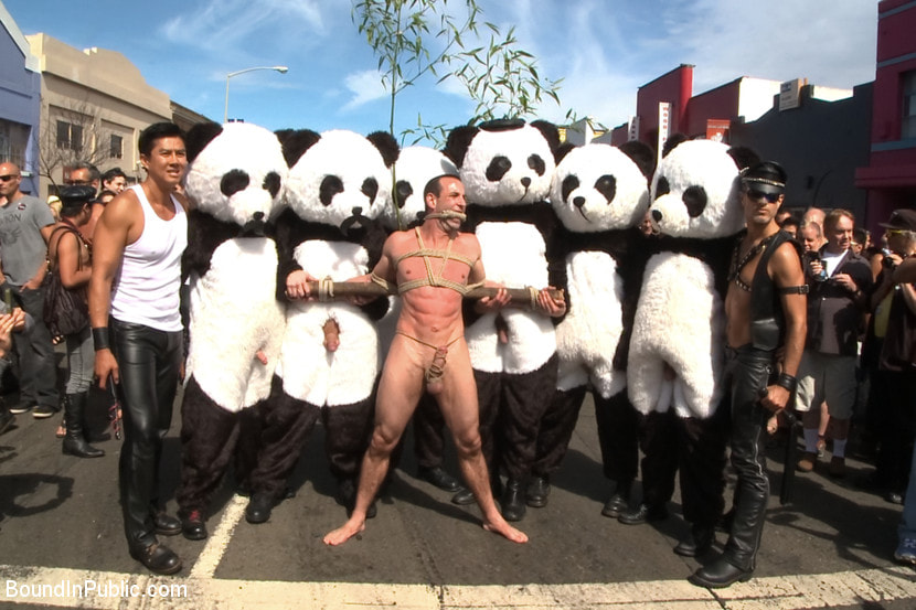 Naked Pandas Trick or Treat - Just in time for Halloween
