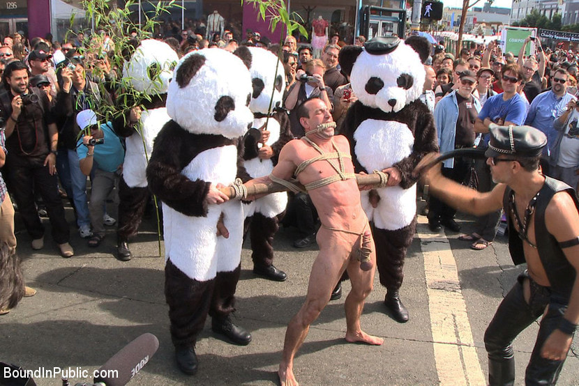 Naked Pandas Trick or Treat - Just in time for Halloween