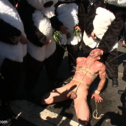 Naked Pandas Trick or Treat - Just in time for Halloween