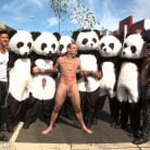 Master Avery in 'Naked Pandas Trick or Treat - Just in time for Halloween'