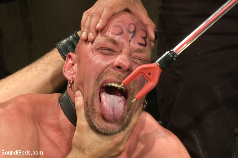 The Battle of the Pain Sluts - Live Shoot