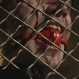 Officer Keys torments sexy cock convict