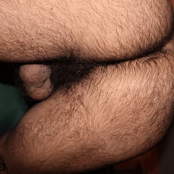 Obedient Sub