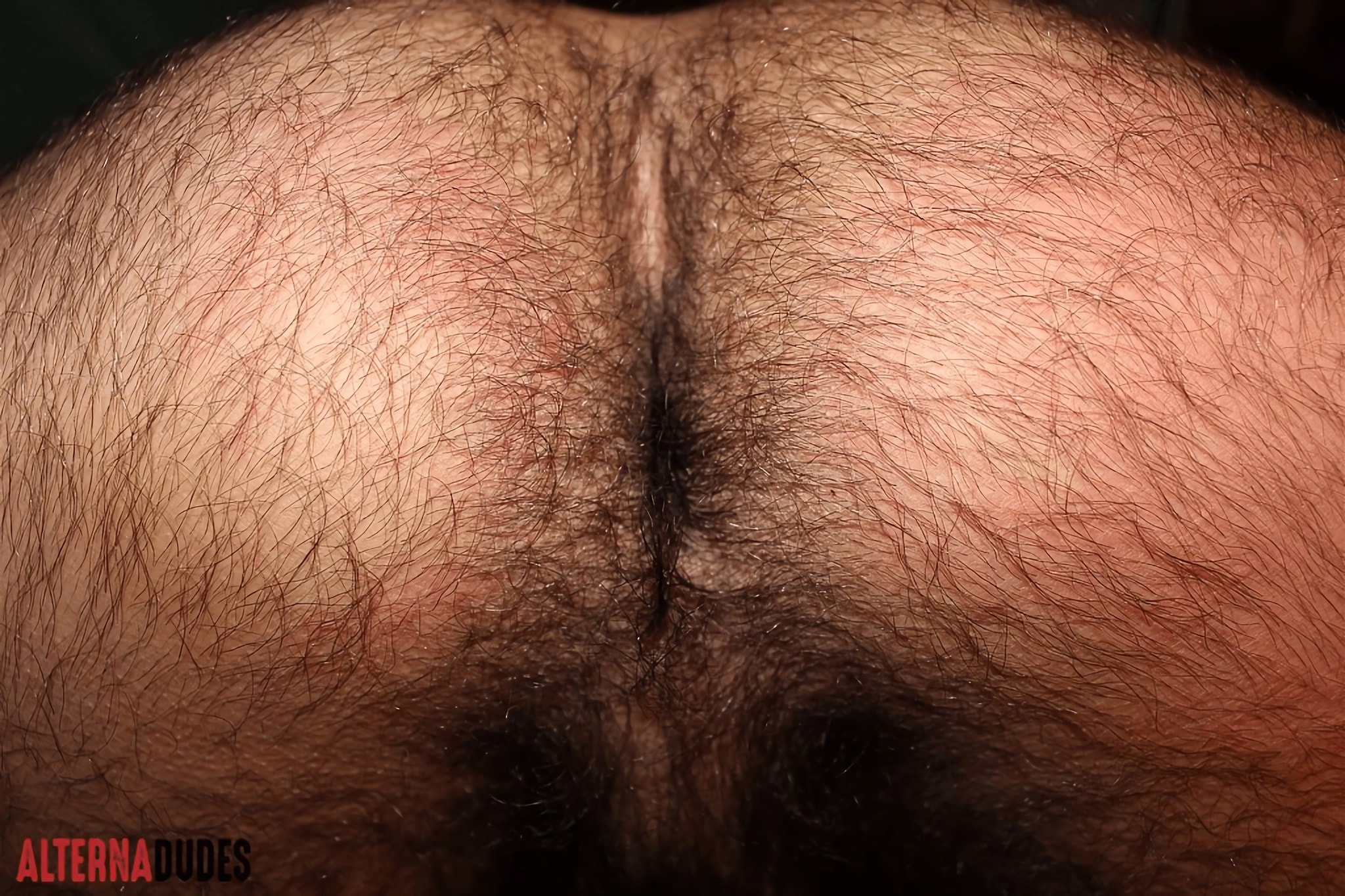 Obedient Sub