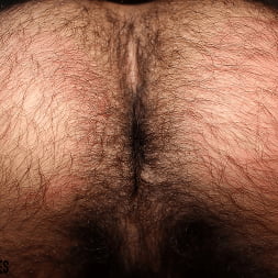 Obedient Sub